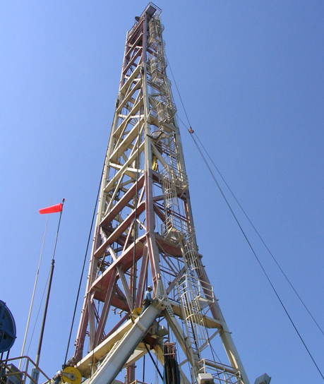 Protected Ladder System